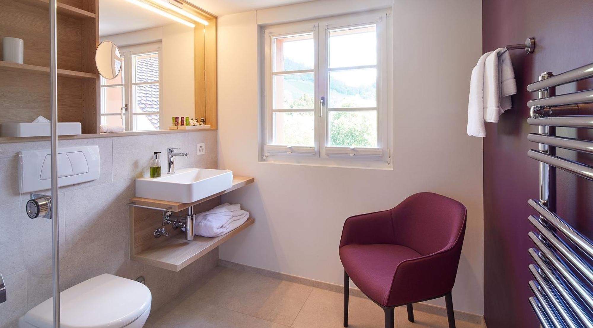 Hotel Gasthof Zum Ochsen Arlesheim Ngoại thất bức ảnh
